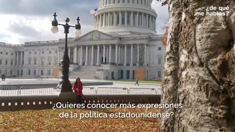 EE.UU.-ELECCIONES: RINO, por qué llama así TRUMP a sus ENEMIGOS INTERNOS