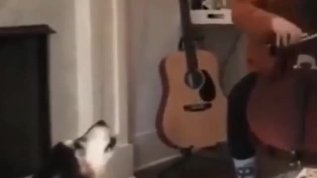 🤣New Funny Dog Video 2021🤣 🐶This dog can sing🤣