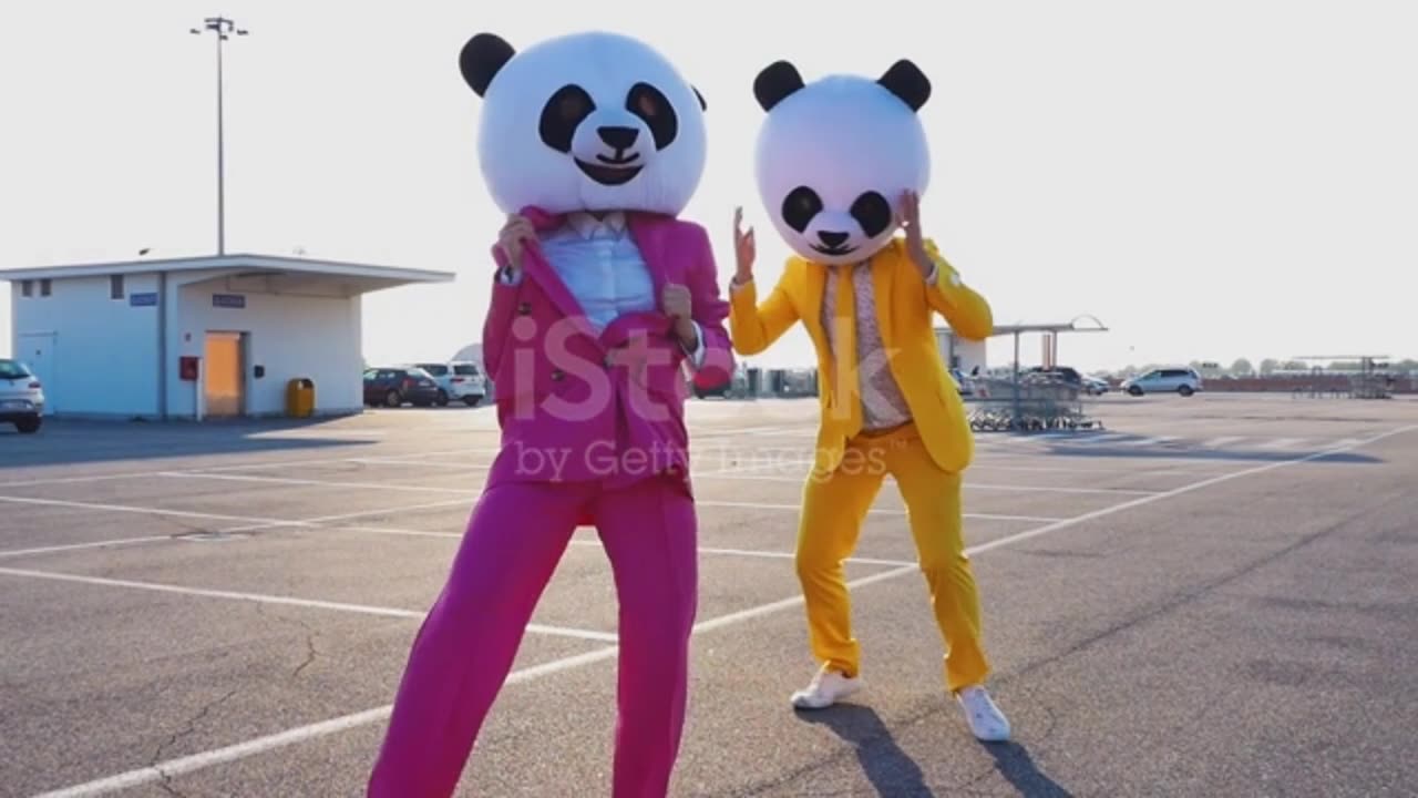 funny panda dance 🤣🤣🤣🤣