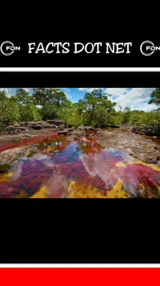 Did You Know? Caño Cristales River, Colombia || FACTS || TRIVIA