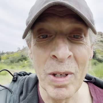 HOW MANY TIMES do you need to BANG YOUR HEAD against the wall