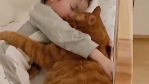 Cute Baby Cute Cat😺