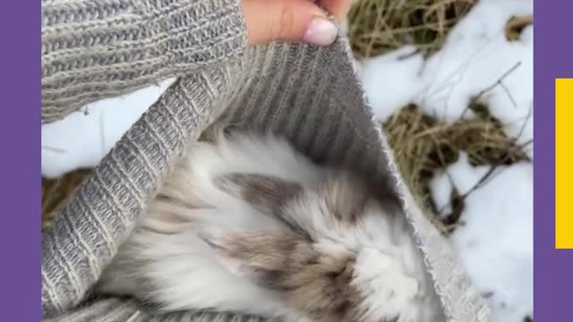 FUNNY AND CUTE