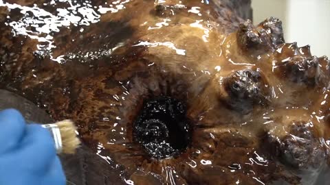 Carving a Rhino From Epoxy Resin & Walnut Burl8