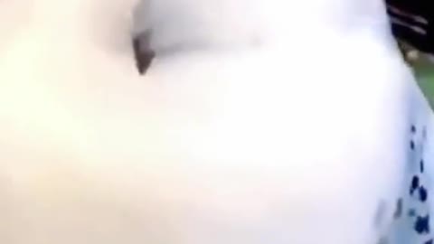 Oh yeah, that's the spot!🥰
