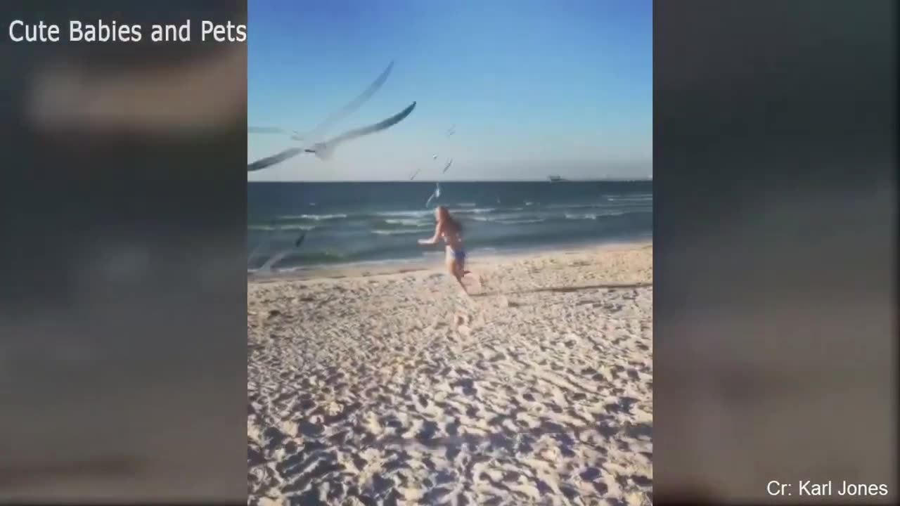 A group of birds chasing a girl in a funny scene