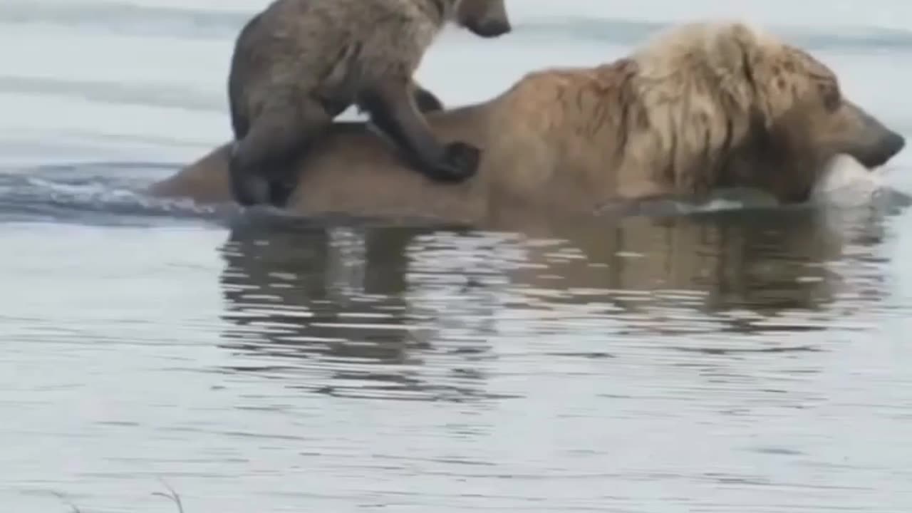 A mother supports her child all the time