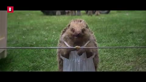 Peter Rabbit's best funny scenes 🌀 4K