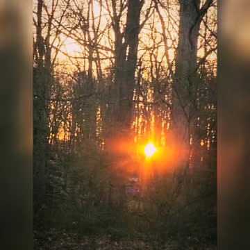 Good Morning Sunshine!