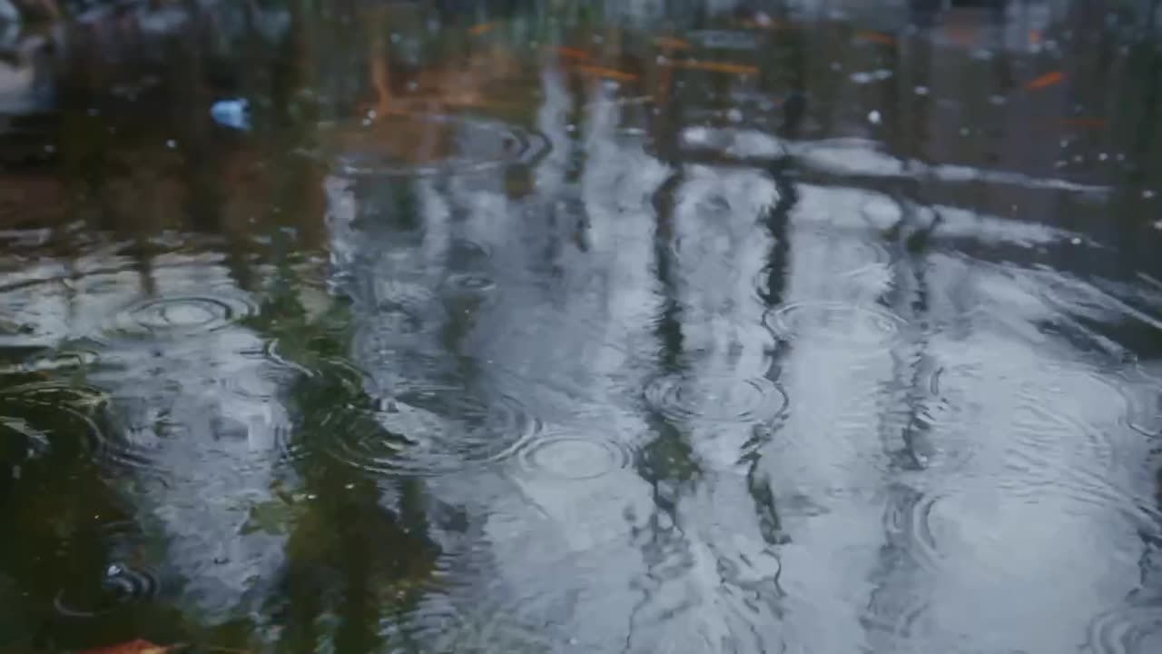 Happy rain day 4K video