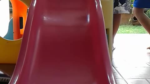 Pomeranian puppy playing on the slides