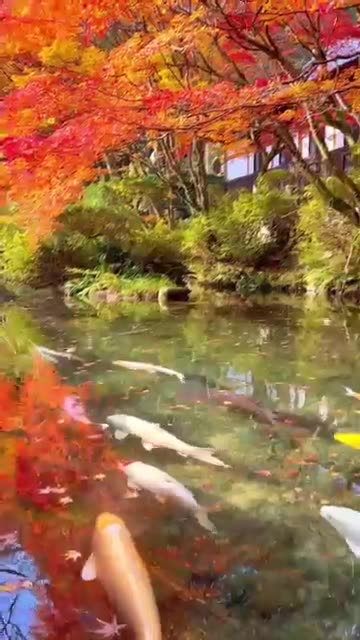 Beautiful Nature of Norway----(360P)