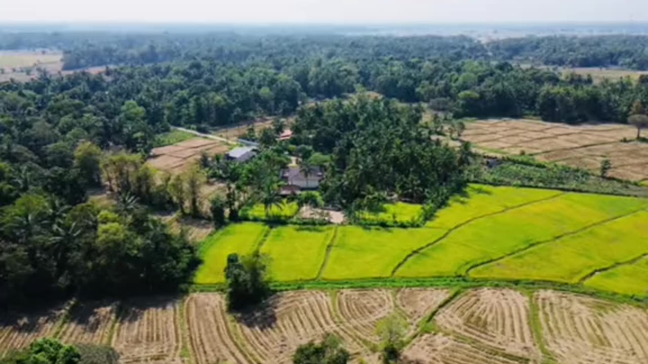 Nowhere as Beautiful as the Village 🥰☘️ | Polonnaruwa’s Natural