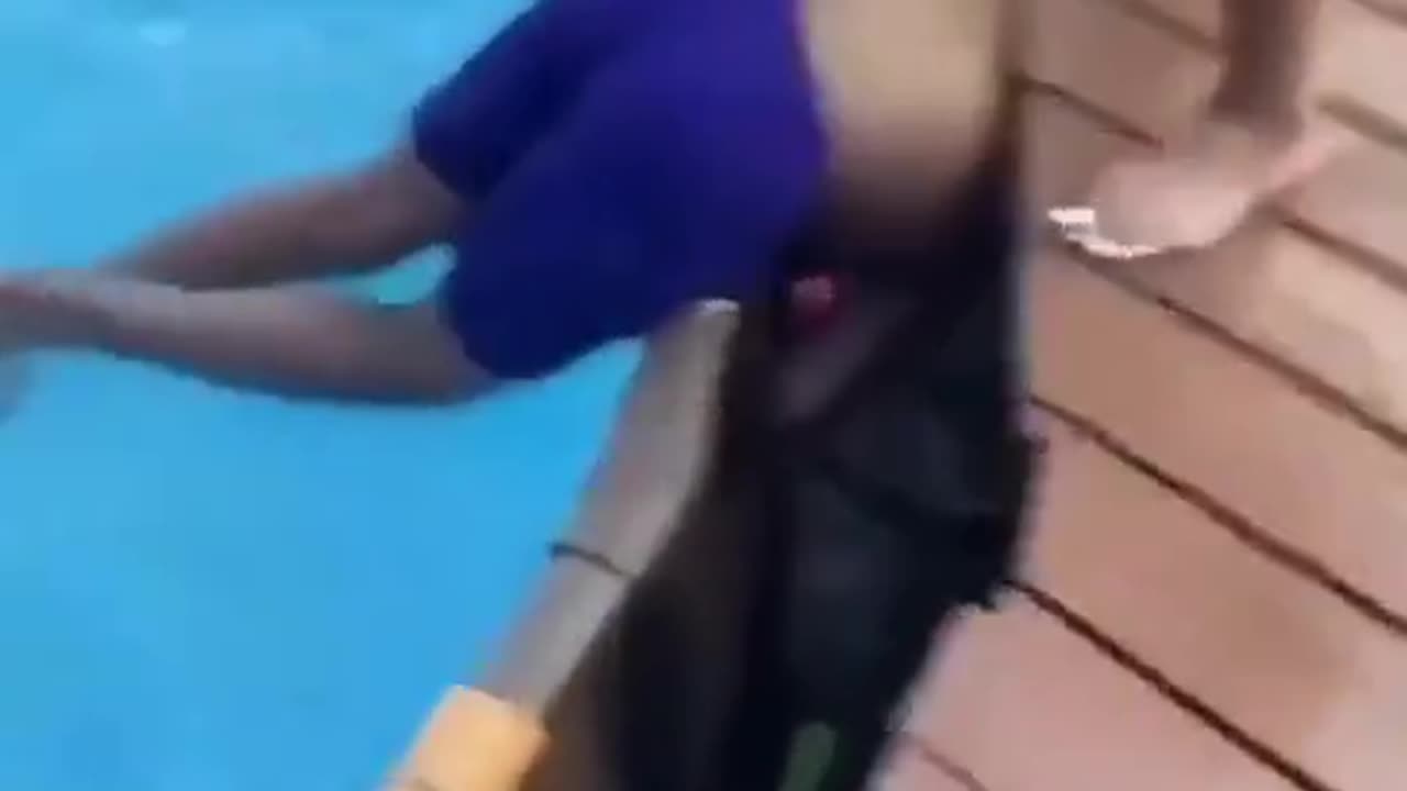 Hilarious Swimming Pool Fails: You Won't Believe What Happens Next!