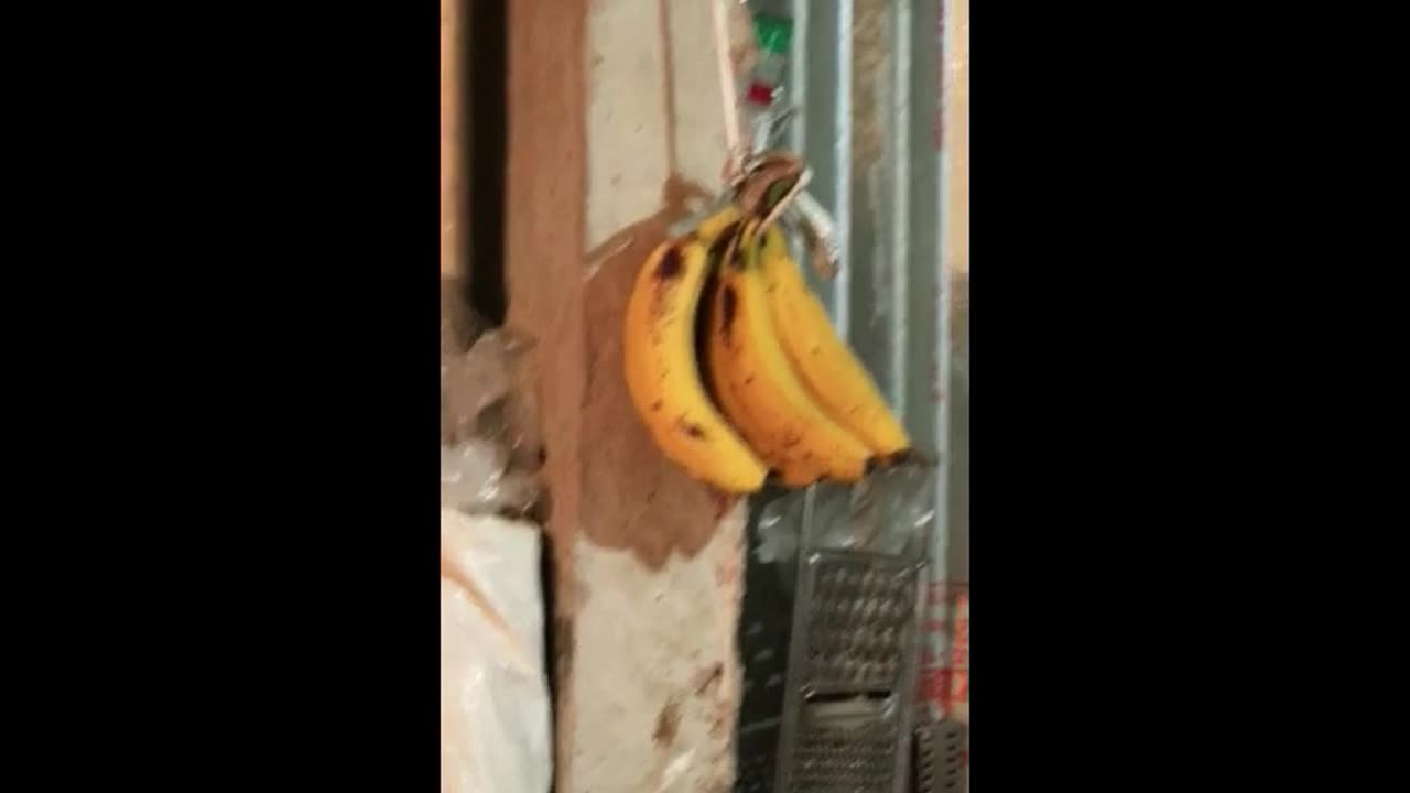 banana
