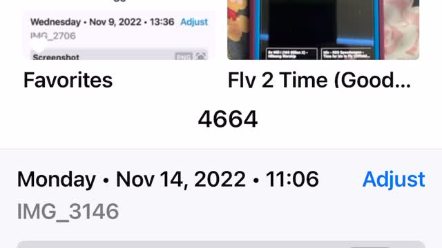 🦅🐝🐝🐝🐝🐝🦅