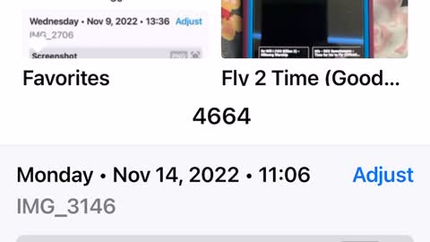 🦅🐝🐝🐝🐝🐝🦅