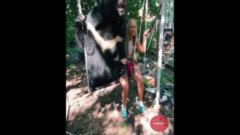 Funny Animals 4