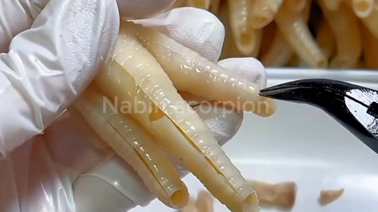 CHICKEN ð LEG'S BONE ðĶī AND MEAT ð SEPARATION