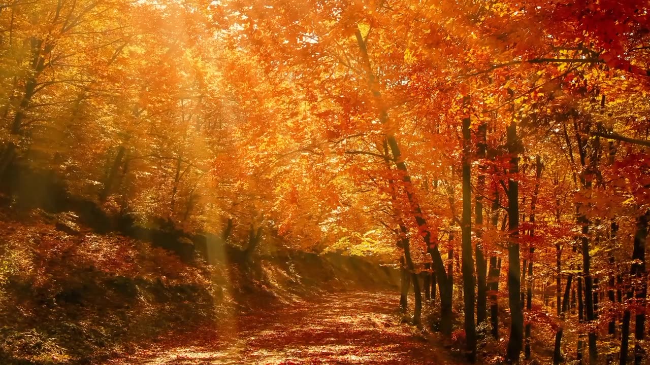 Relax With Beautiful Autumn _ Nature Music _ Relax Soulful