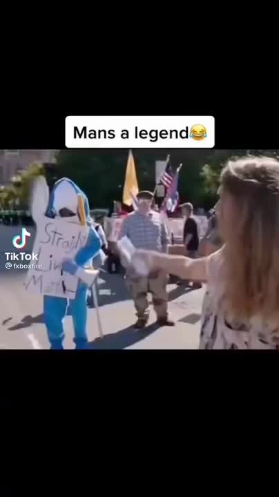 "is this a joke?" she asked the man dressed in a shark costume