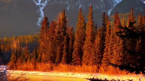 Beautiful Nature