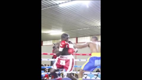 Brutal Knock Out
