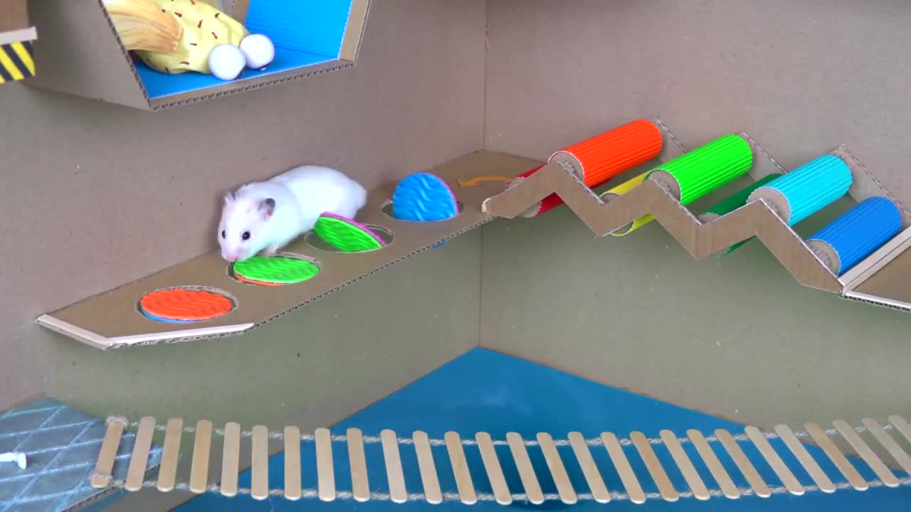 Amazing Hamster Pool Adventure