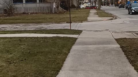 2-14-23 walk part 1