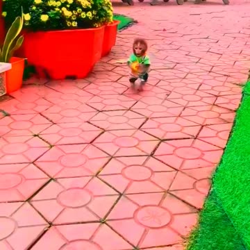 Adorable Monkeys, animal, monkey, pets, funny animals, smartest animals, cute monkey, baby monkey #2