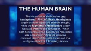 Mark Passio- intellect is not the same as intelligence