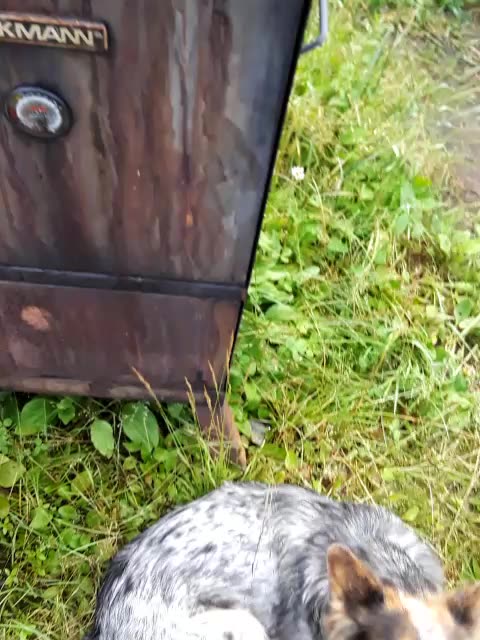 Sockeye Salmon for MoonCaveRanch 😎🤙