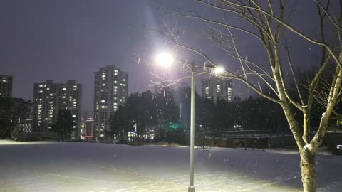 snowy park lights