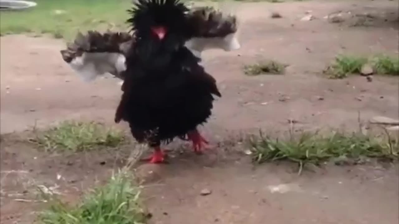 Is There Anyone Who Can Compete With Me #shorts #shortsvideo #video #viral