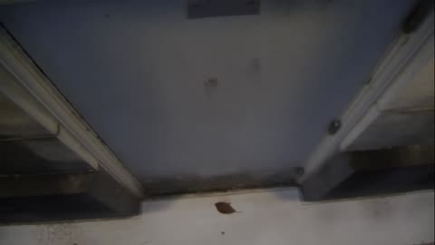 0921USCG00HT18Exterior_2021-01-06_07h40min01s550ms.mp4