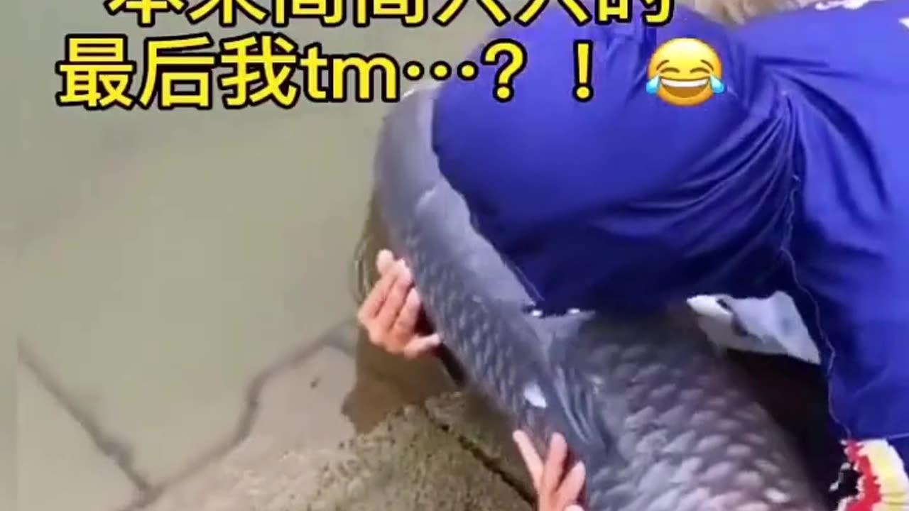 Funniest Videos 2023 - Funny Cats and Dogs