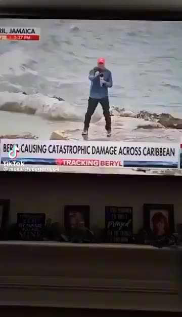 Documentary: Report on Dragons