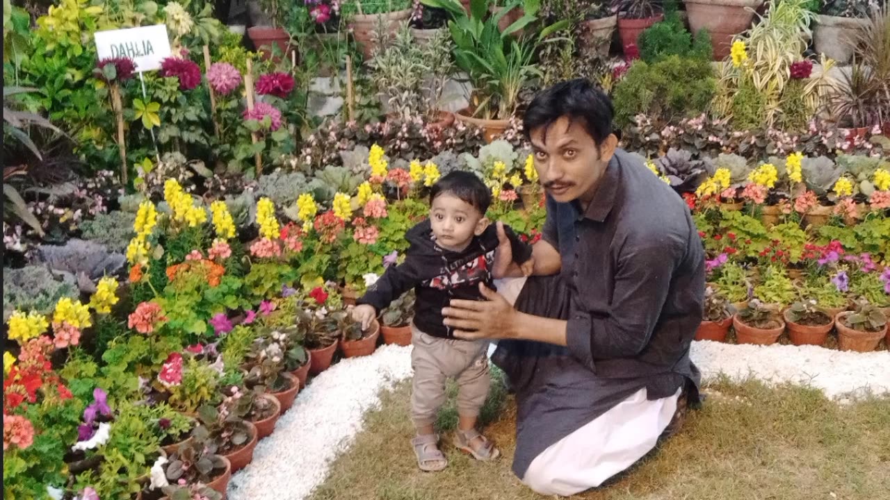 Follower show on family park