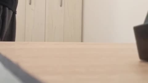 South park title theme cover