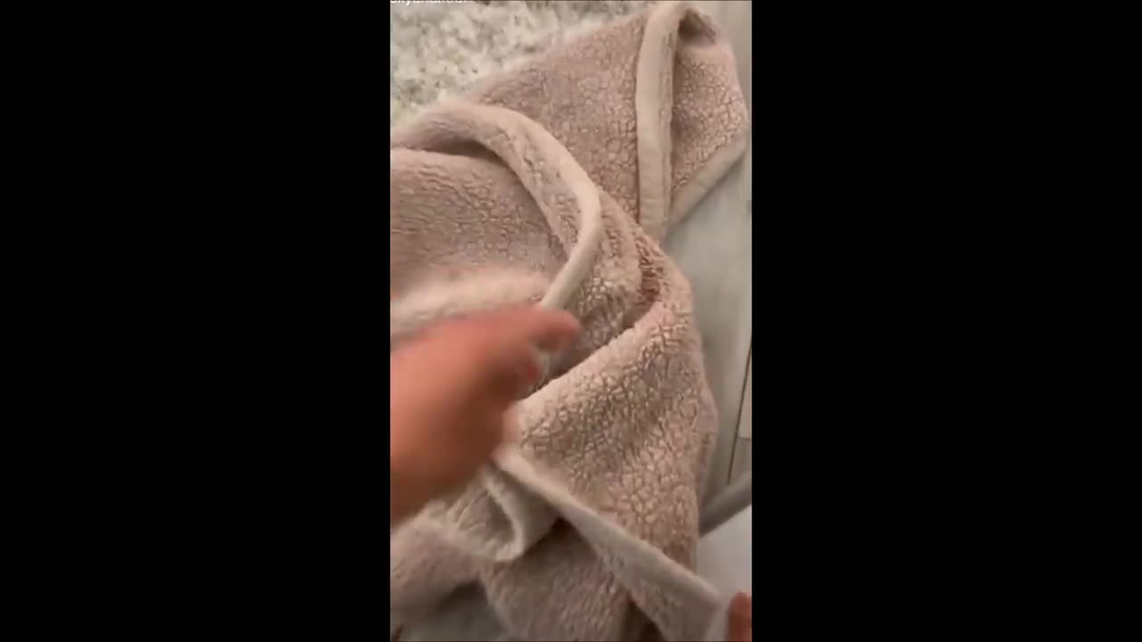 Funny Animals
