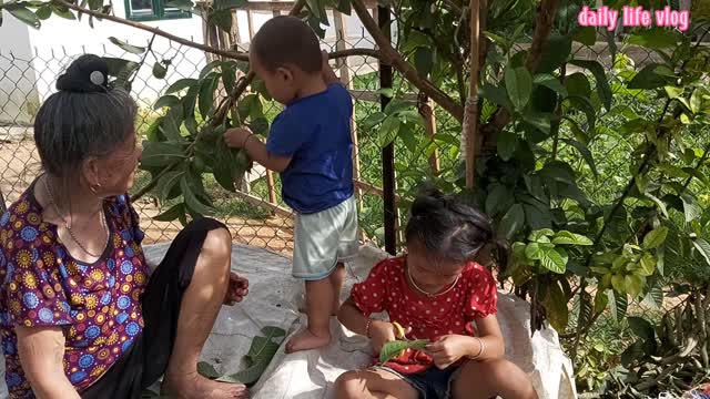 The three of us played together | daily life vlog