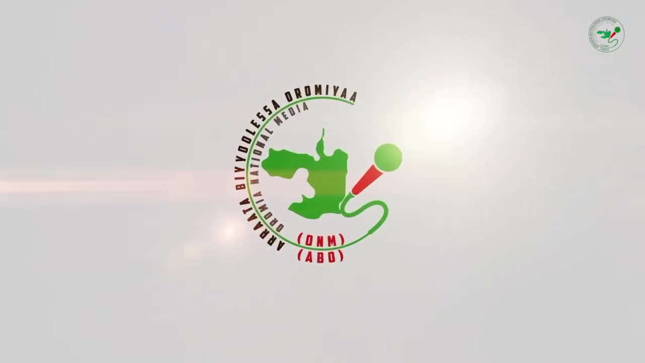 Oduu Waaree ONM-ABO Amajjii 29,2024 Itti Dhiyaadhaa!