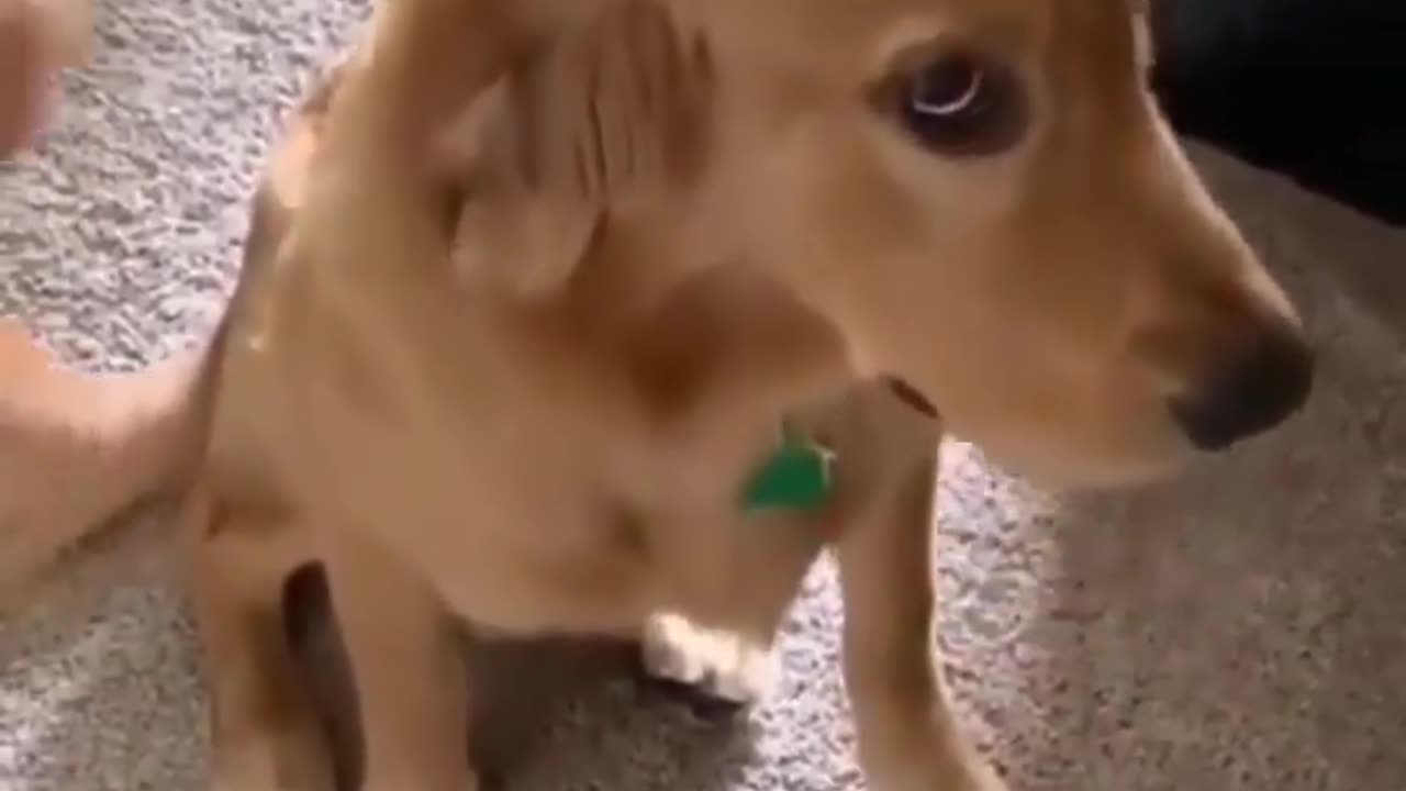 OMG, WHAT HAPPENED HERE!!!!!!