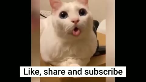 Funny clips that make you simle
