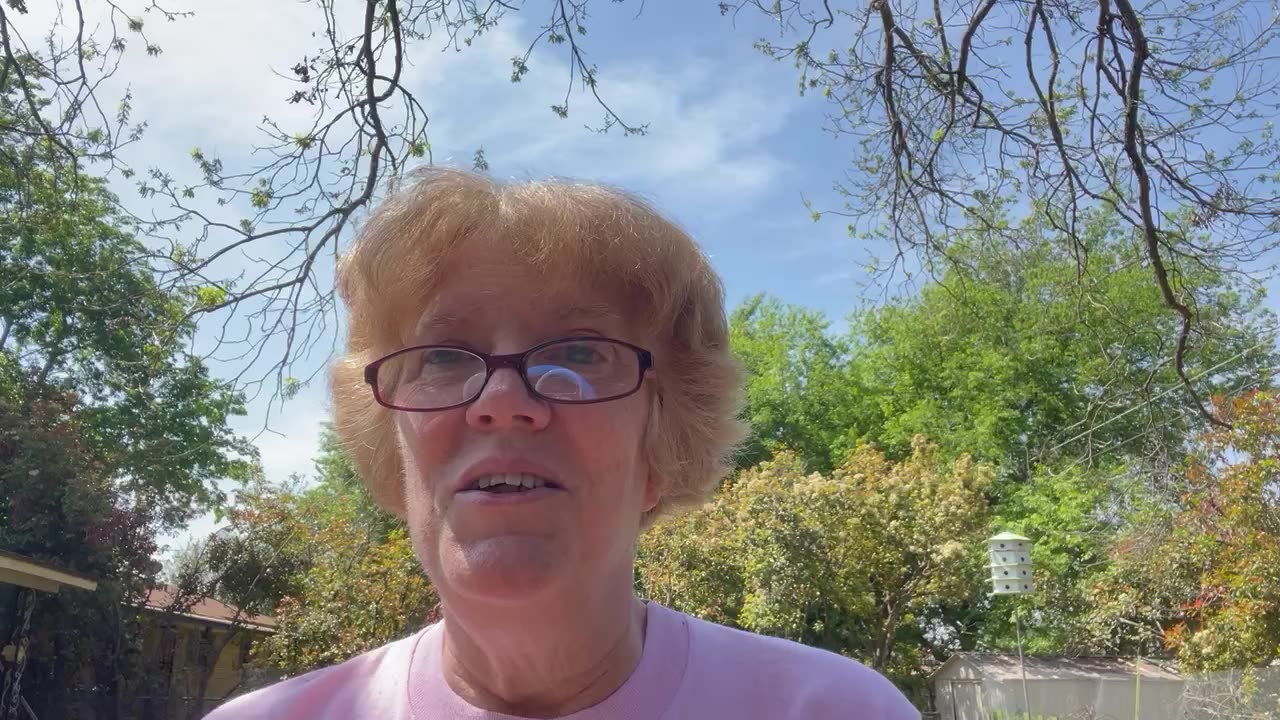 04/03/23 Romans 8:26-30 TPT