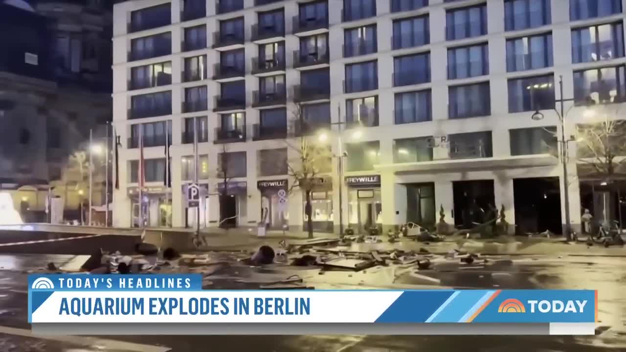 Berlin Aquarium Explodes, Spilling 1,500 Tropical Fish Onto Road