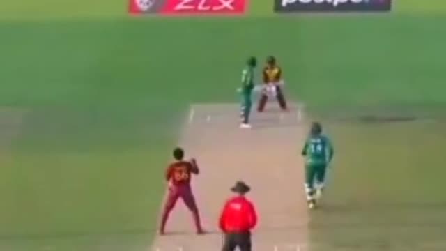 fans-video cricket lovers-video #cricket #cricketlover