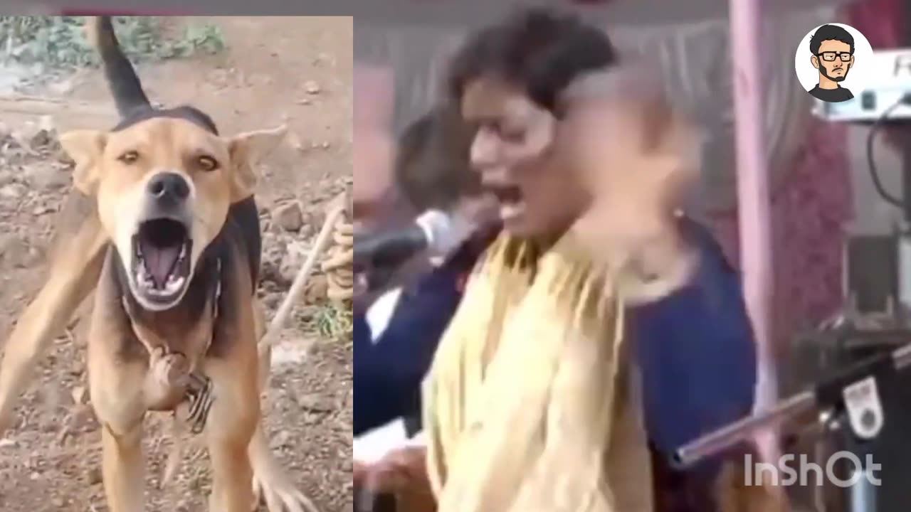 Top funny Videos World wideπππ#laugh #laughing #funny #facts #funnyvideo