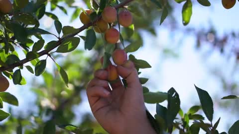Teaser food #1 - VIDEO PROMOTIONNELLE