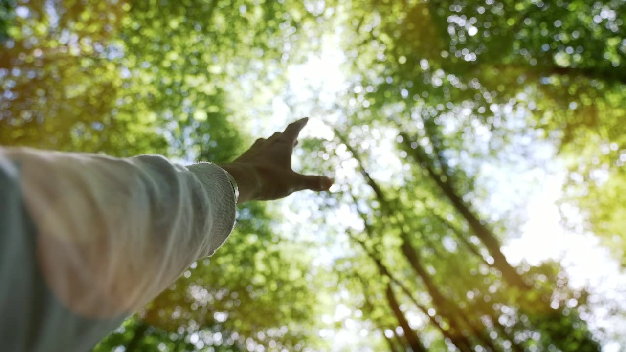 Meditate At 8:00: Sins of Others